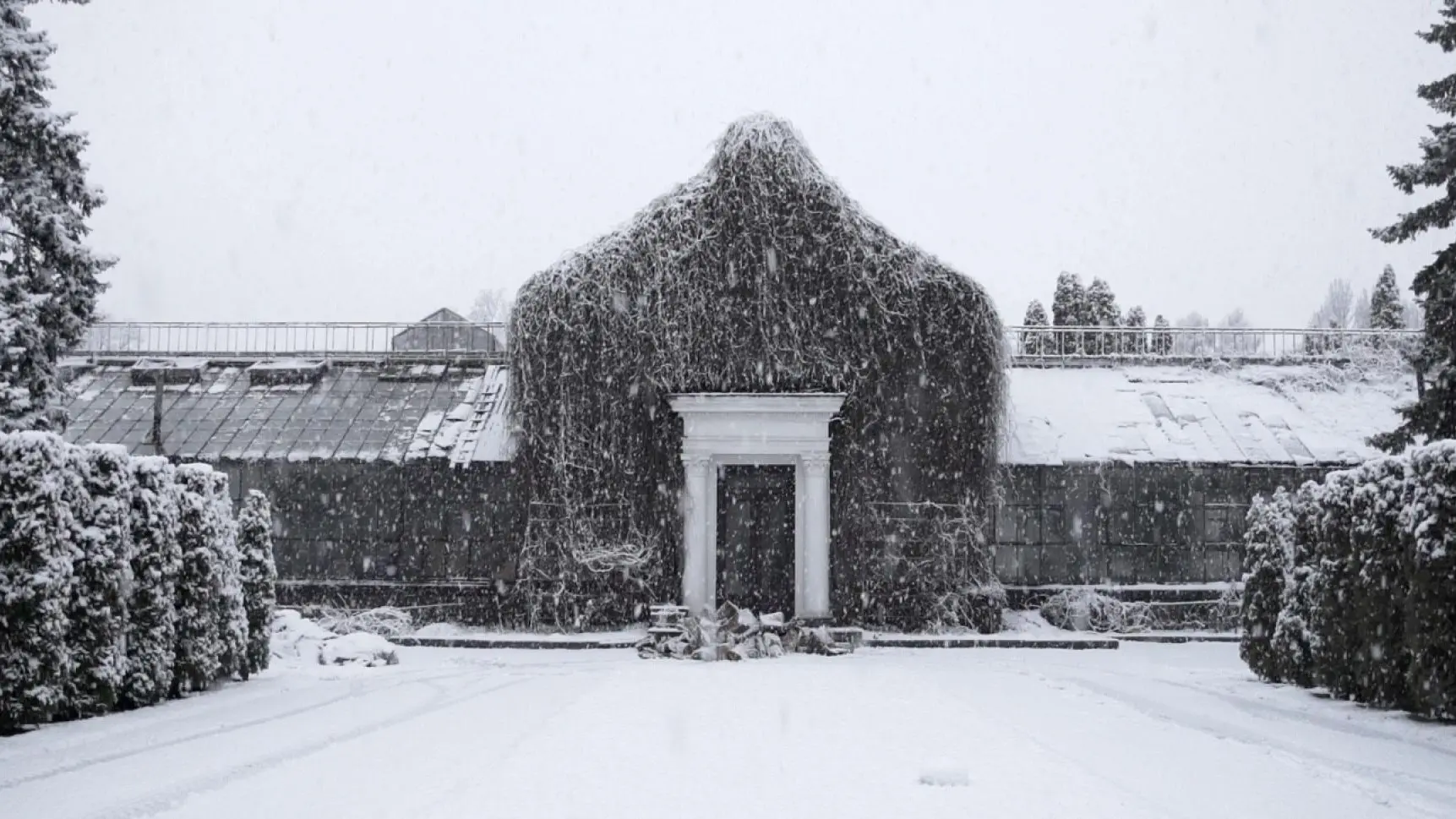 The Winter Garden’s Tale backdrop