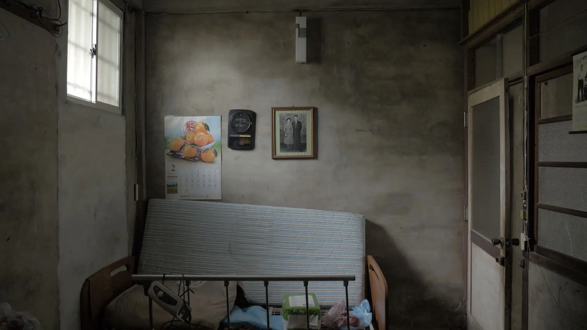 The Paperflower Still Blooms backdrop