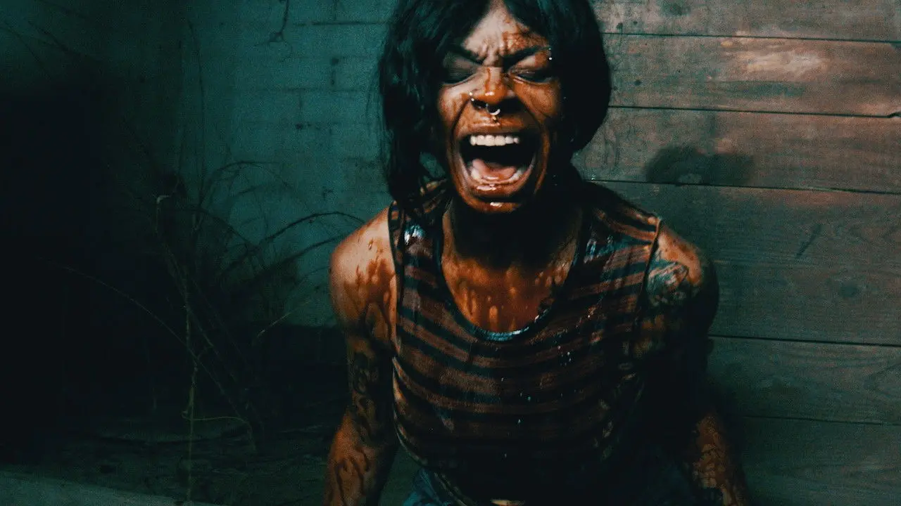 The Only Ones backdrop