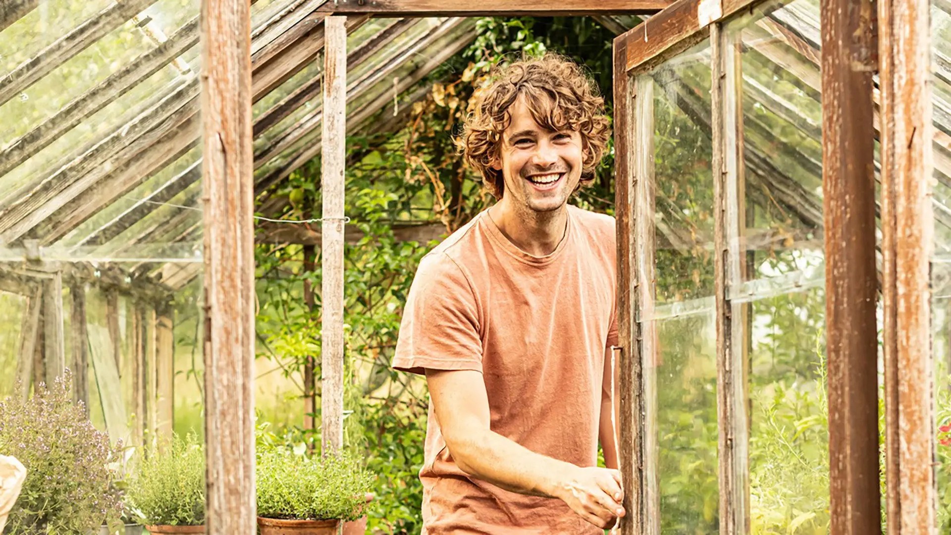 A Taste of the Country backdrop