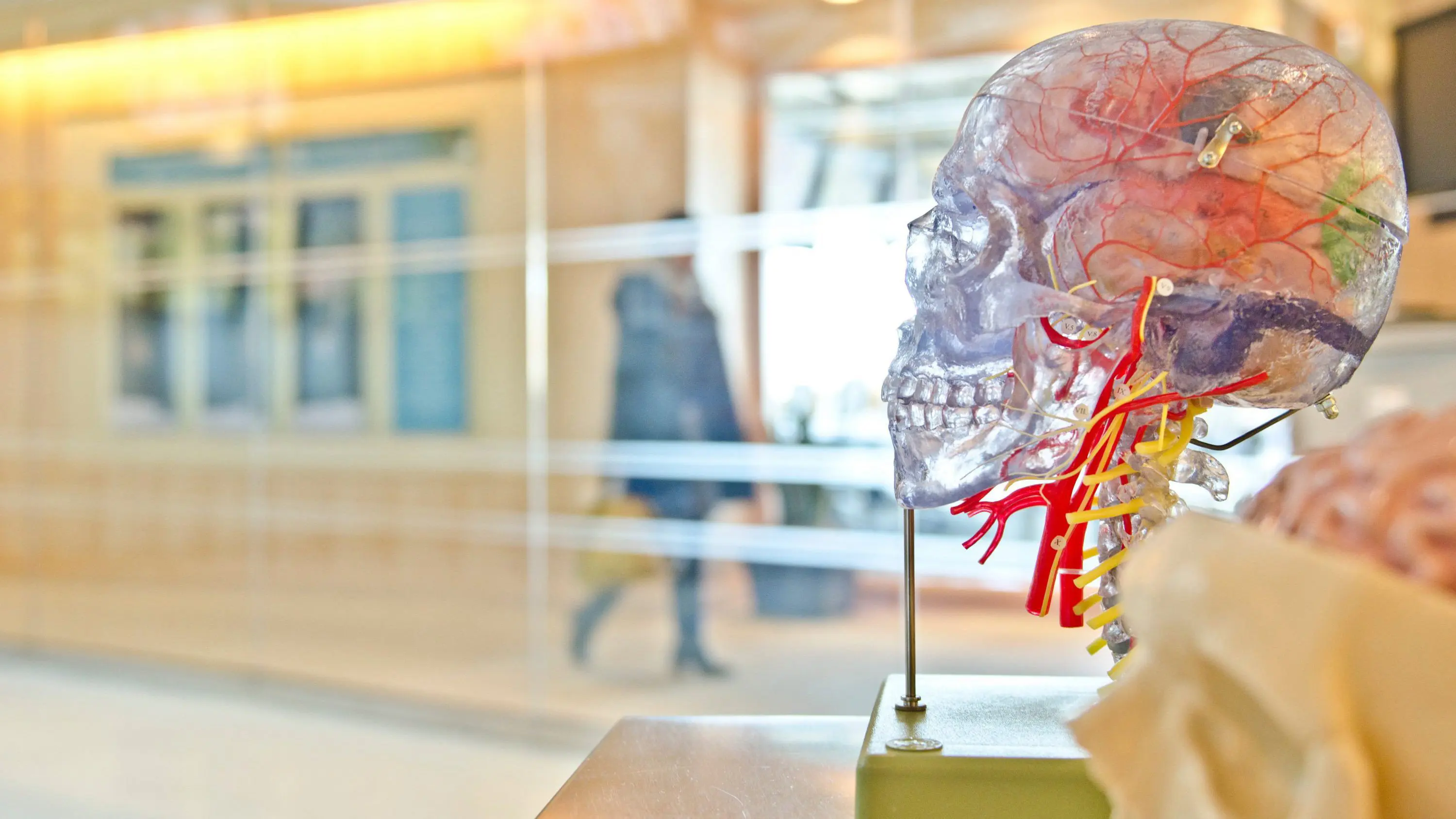 Secrets of the Brain backdrop