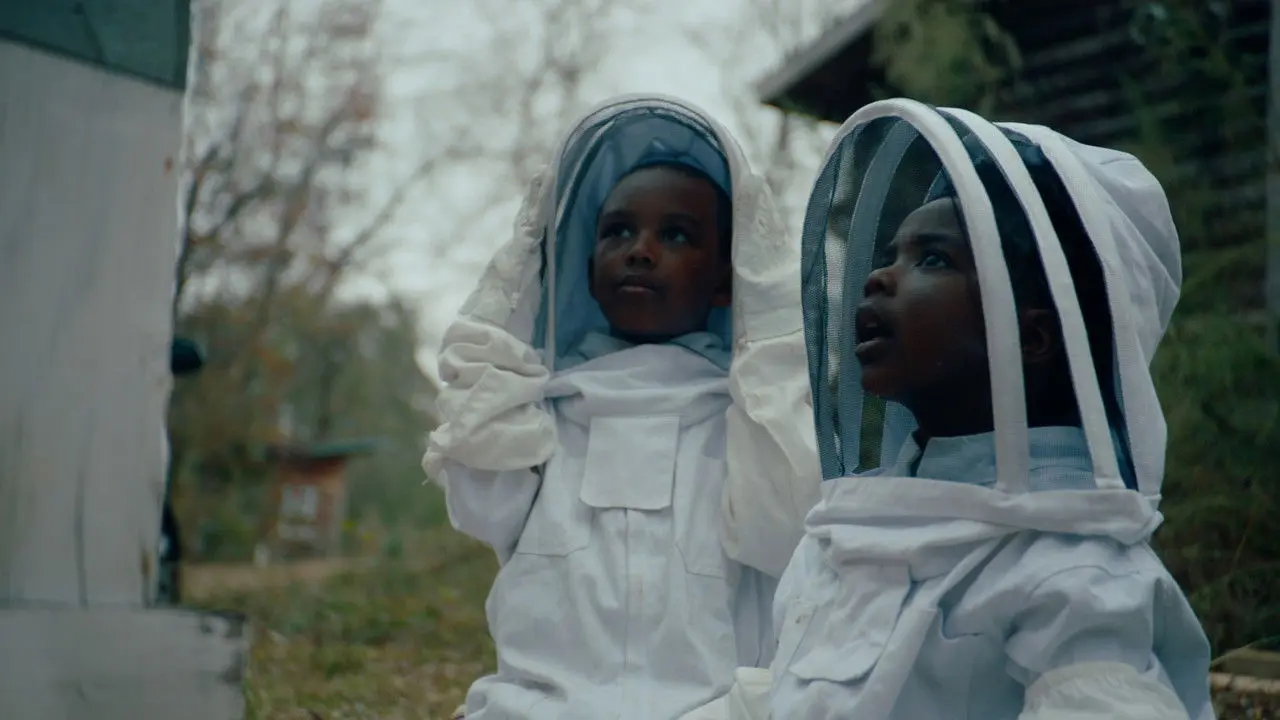 The Boys and the Bees backdrop