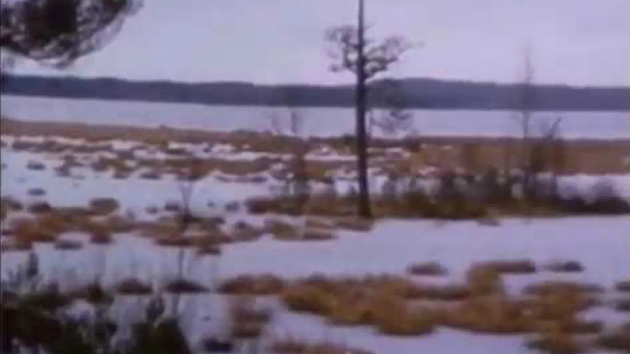 Striaght Ahead backdrop