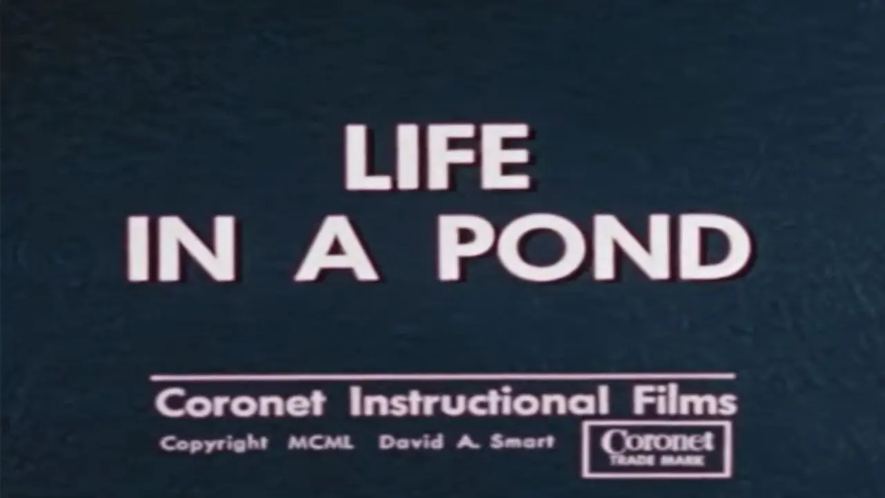 Life in a Pond backdrop