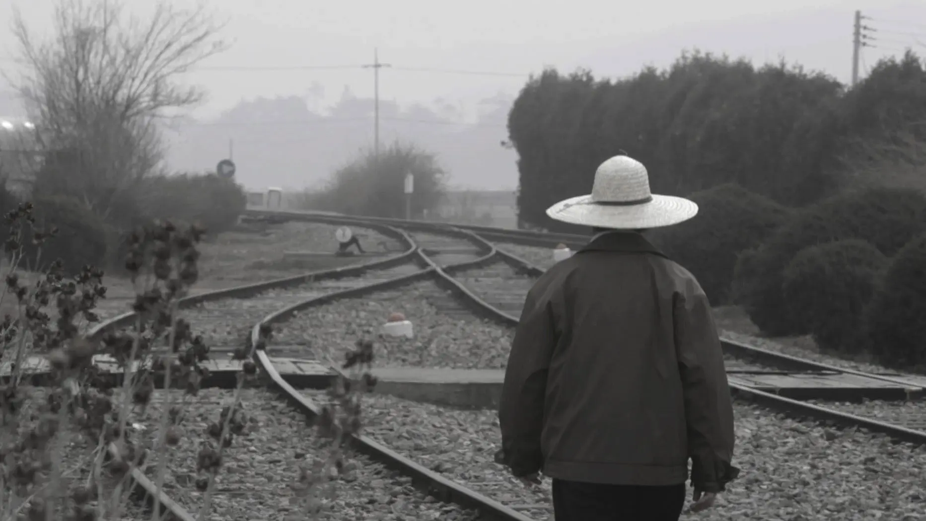 My Father's Emails backdrop