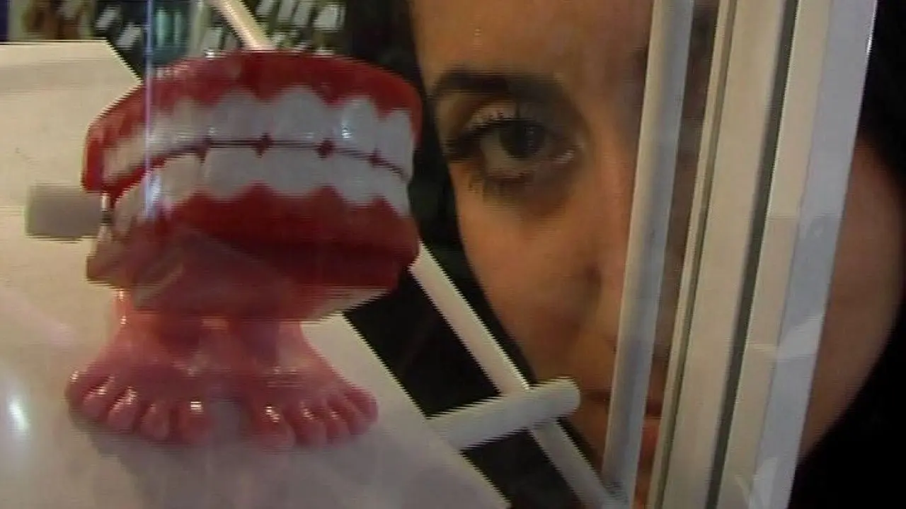 Teeth on a Shelf backdrop