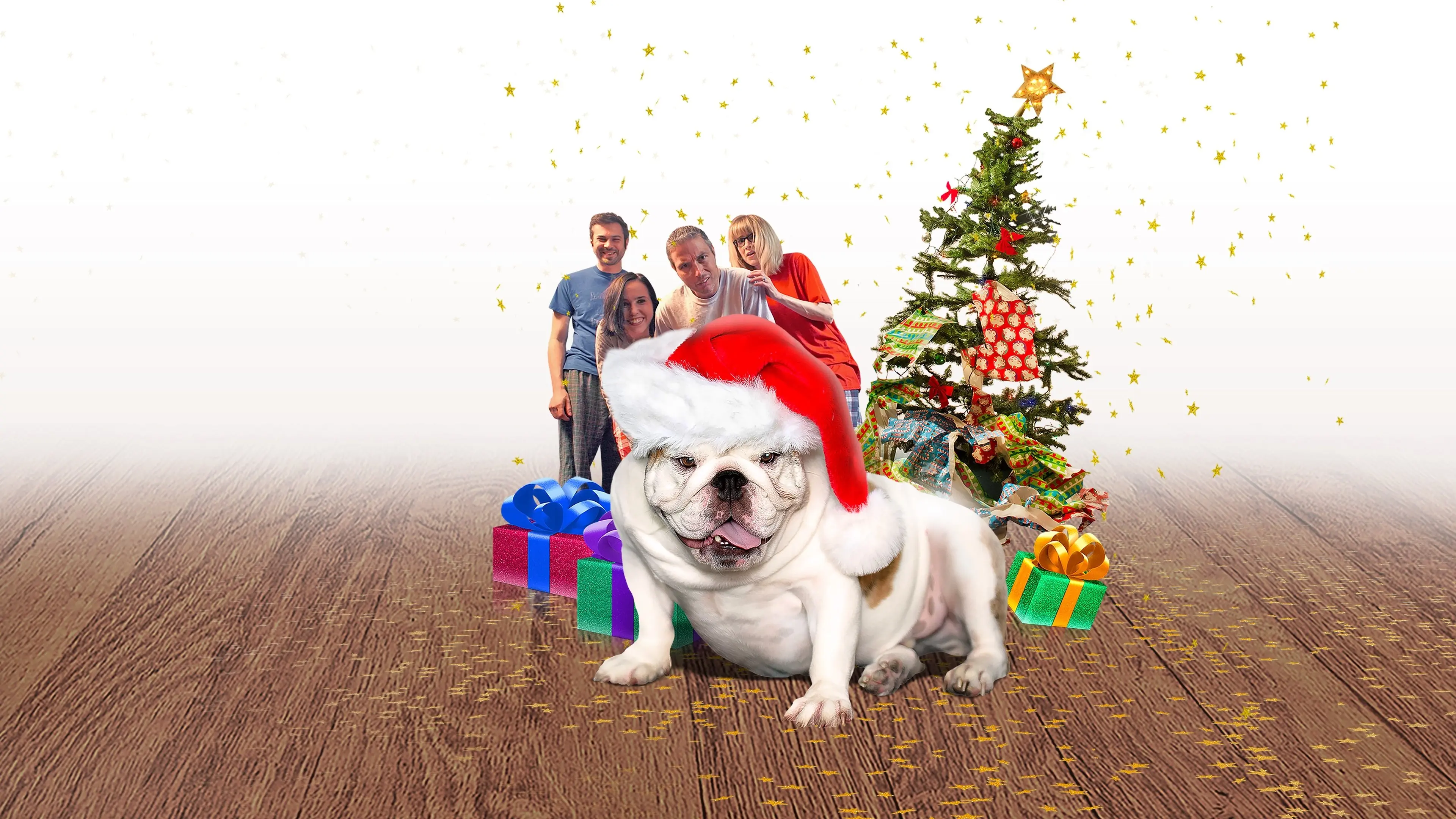 A Bulldog for Christmas backdrop