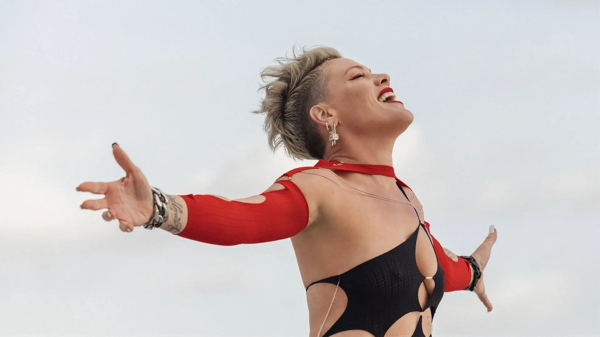 P!NK: Mein Leben in Songs backdrop