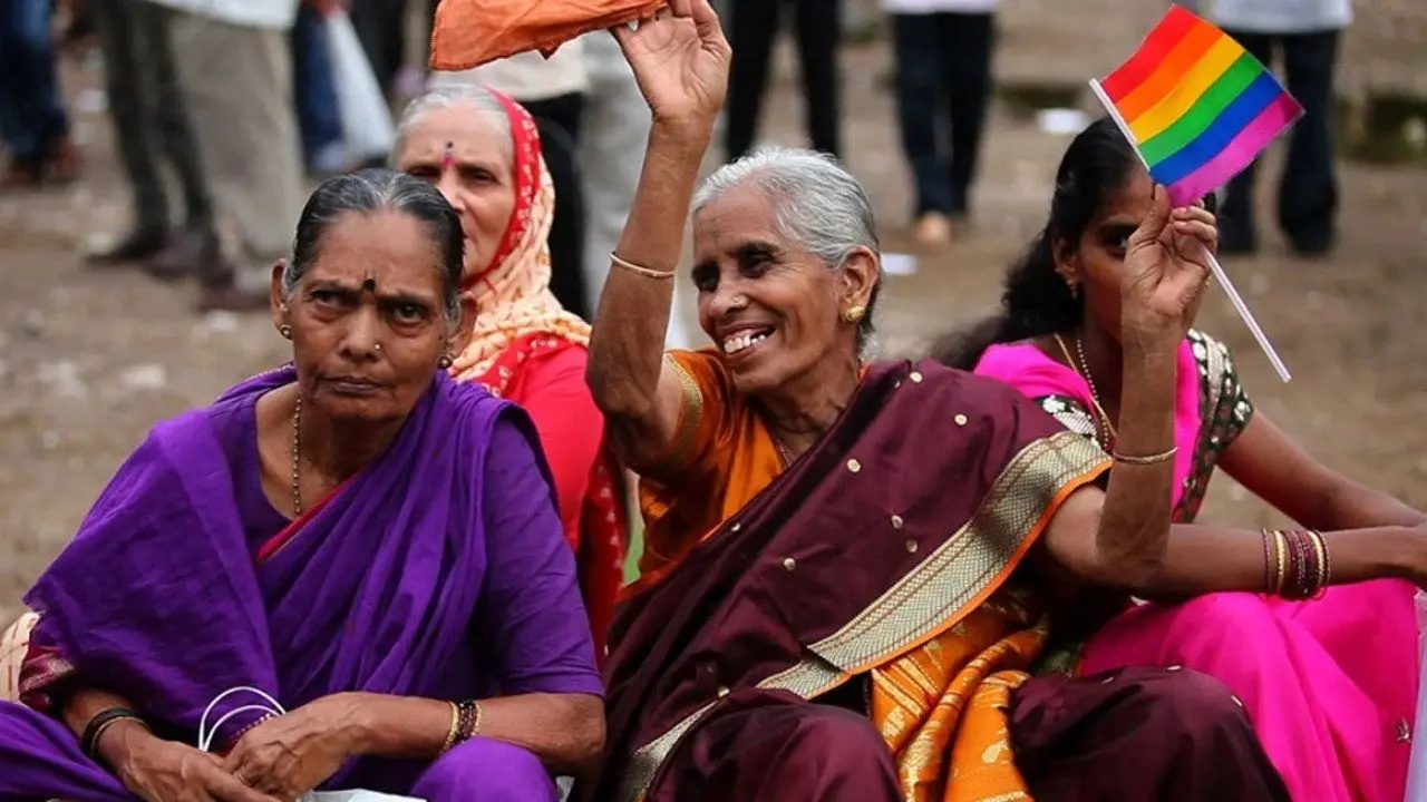 365 Without 377 backdrop