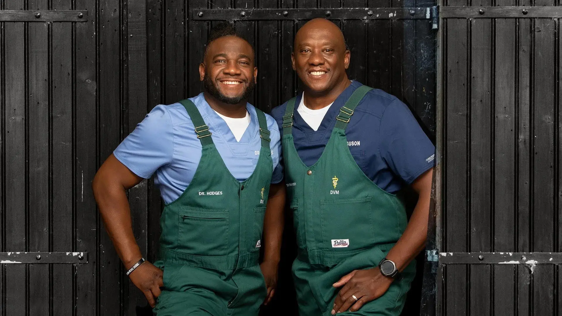 Critter Fixers: Country Vets backdrop