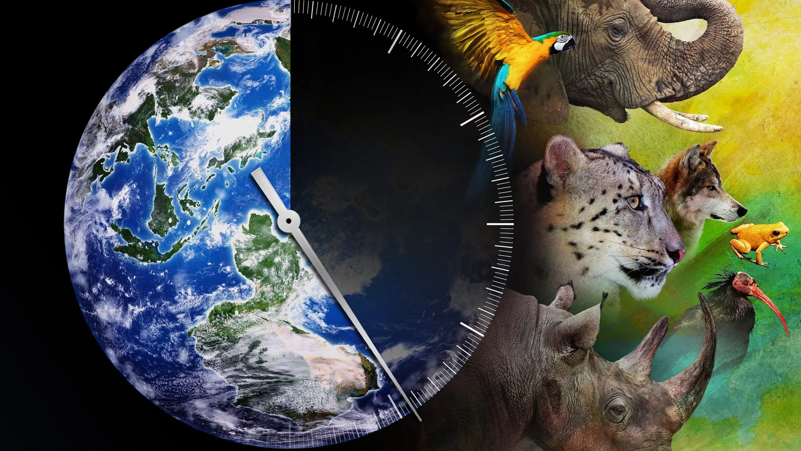 Racing Extinction backdrop