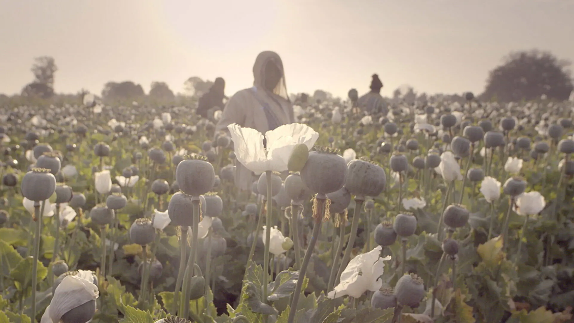 The Crime of the Century backdrop