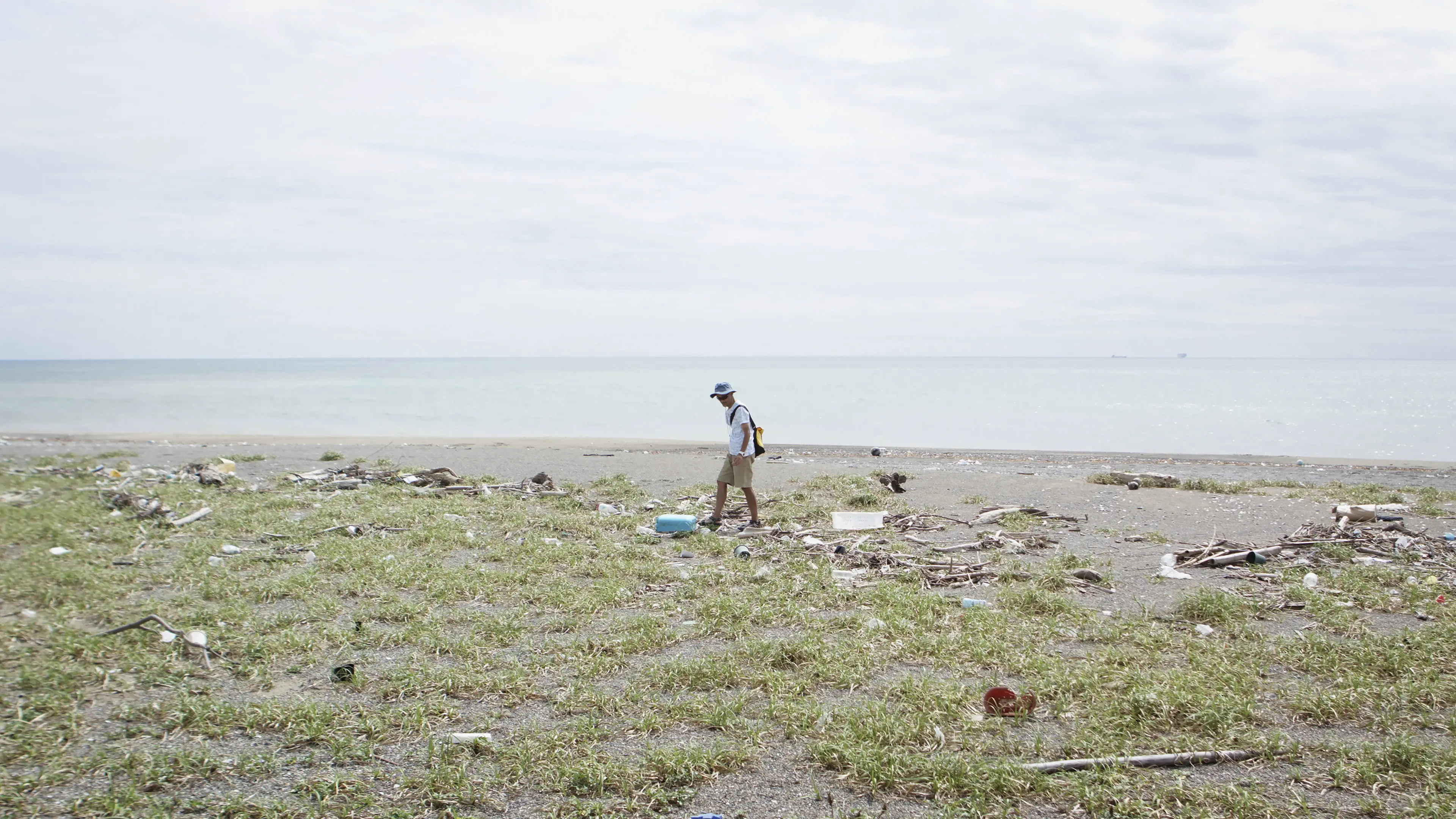 Walk the Tideline backdrop