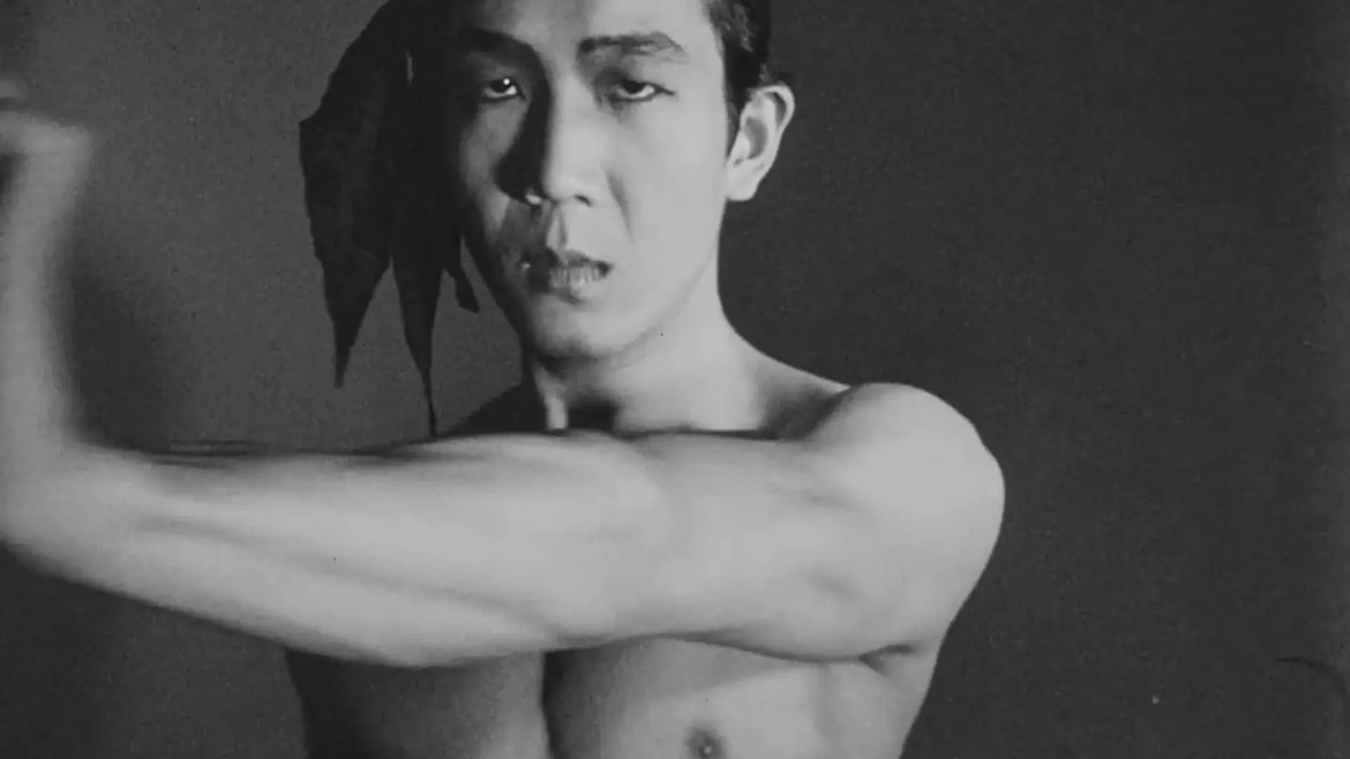 Meditation on Violence backdrop