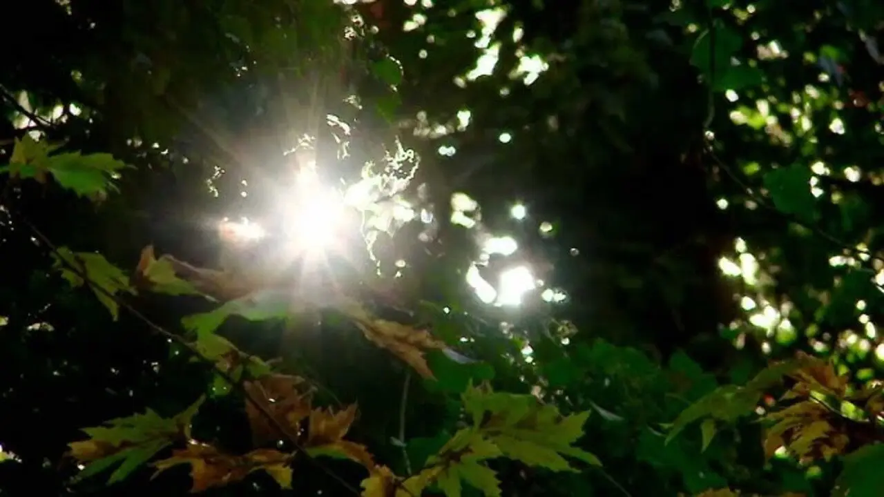 Golden Times – Cassandra’s Treasure backdrop