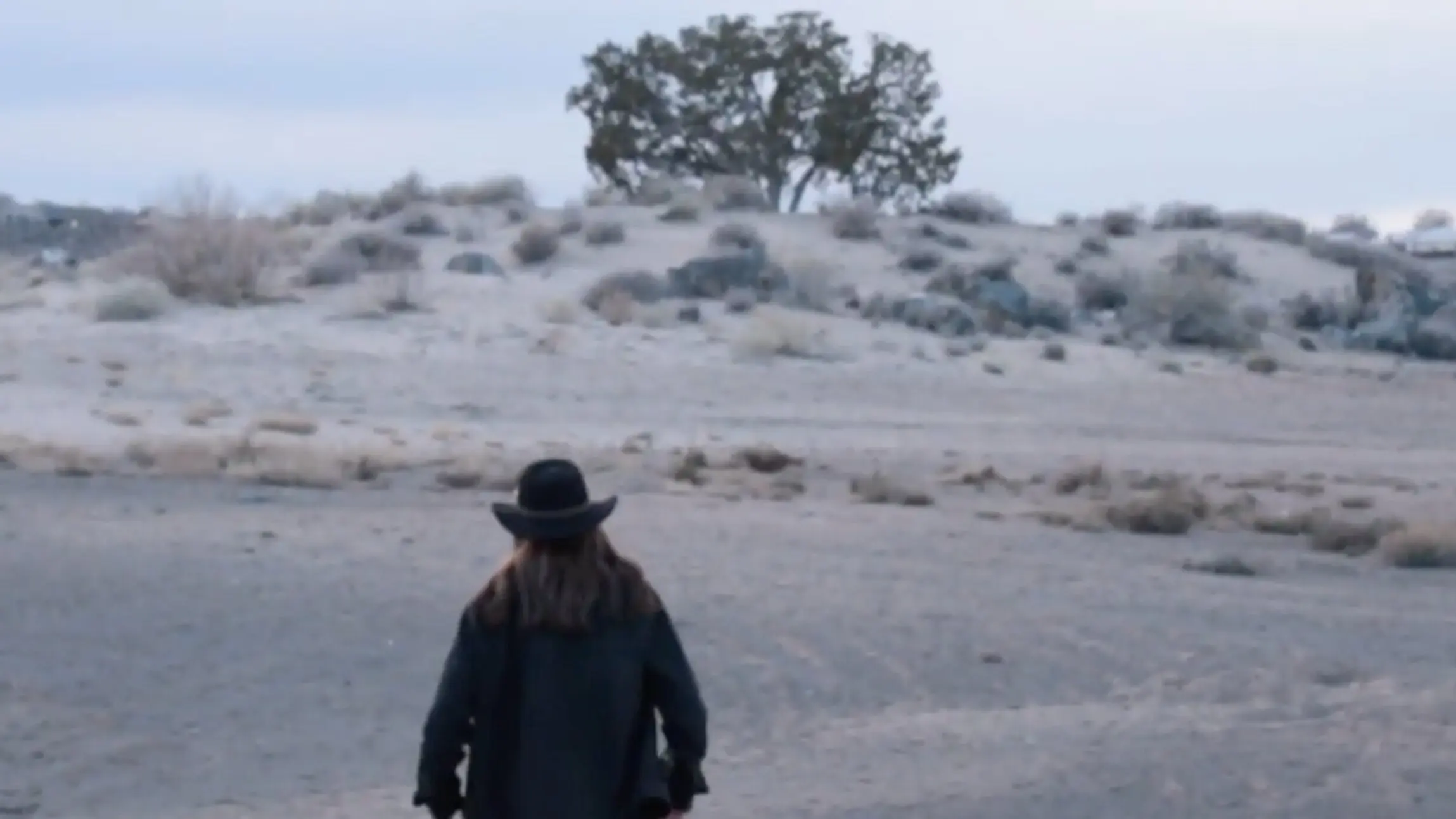 Man in the Mesa backdrop