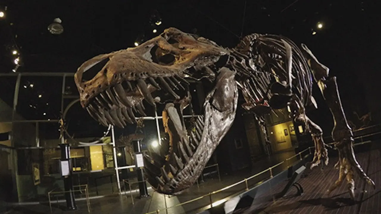 Dinosaur Extinction: Behind the Asteroid Impact Theory backdrop