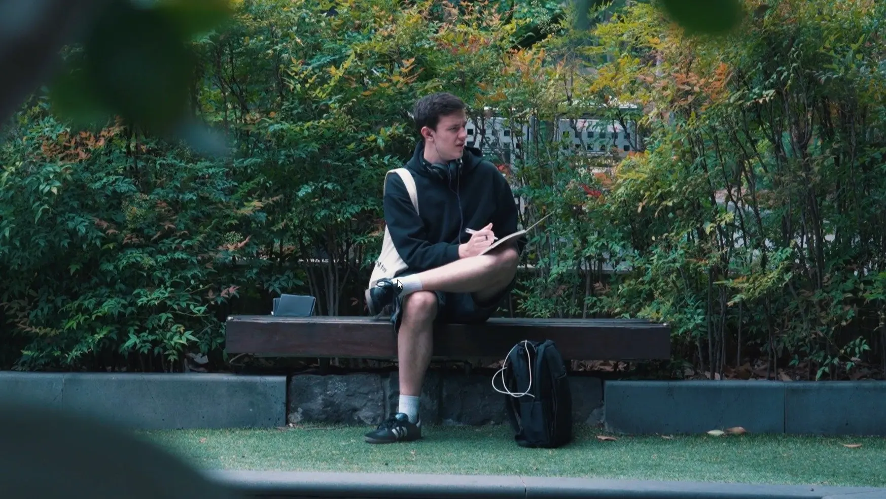 ABSOLUTE CINEMA backdrop