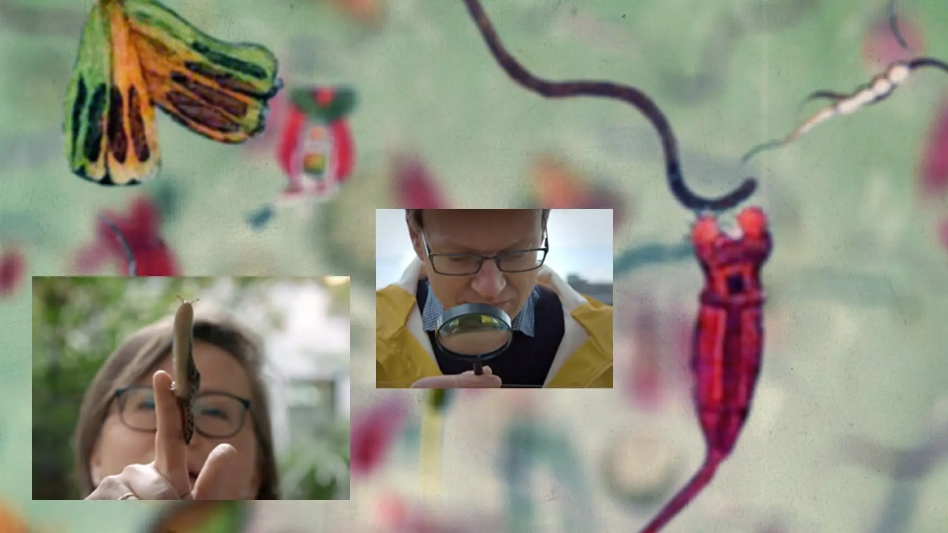 42: The Answer to Almost Everything backdrop