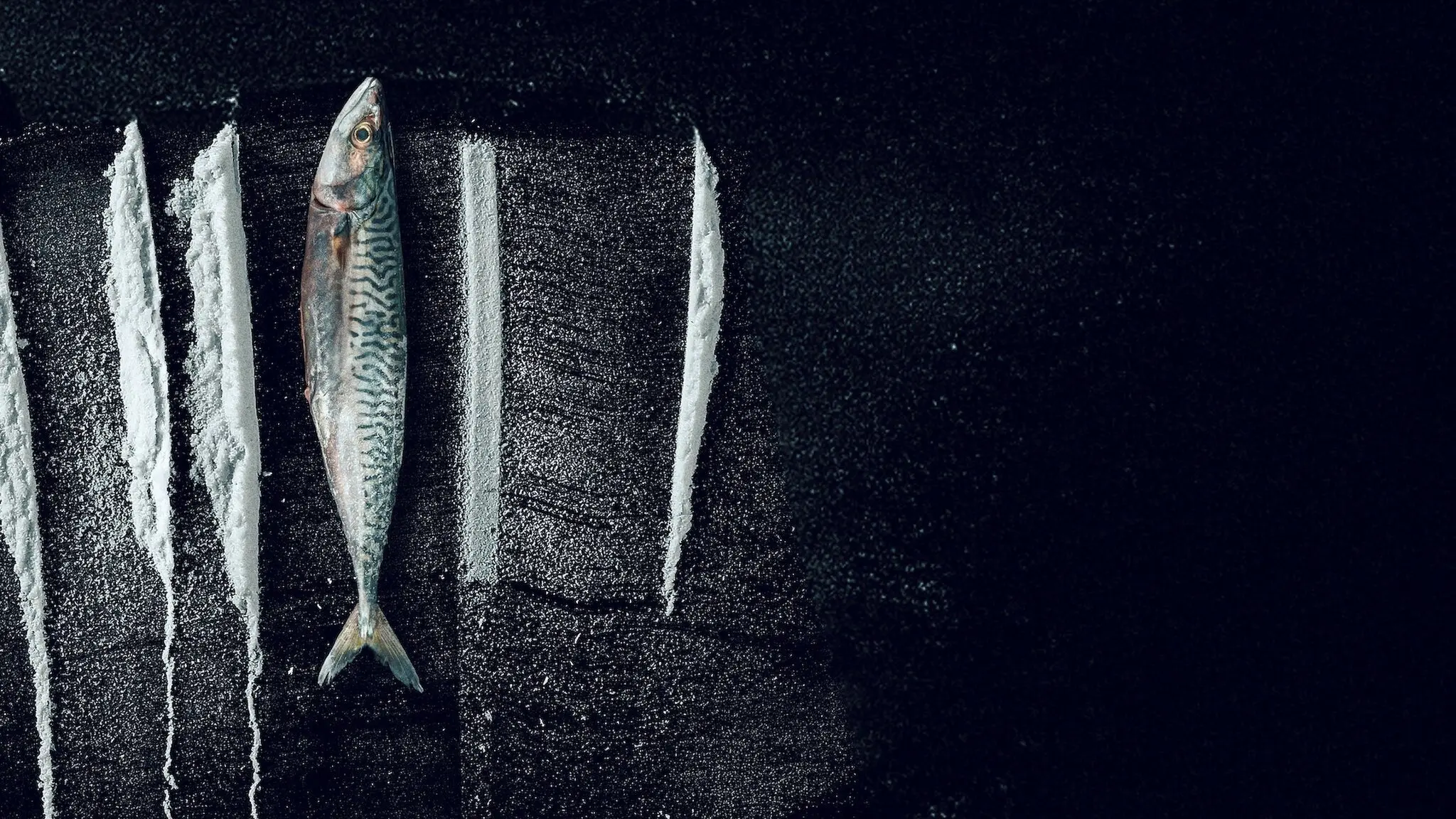 Turn of the Tide: The Surreal Story of Rabo de Peixe backdrop