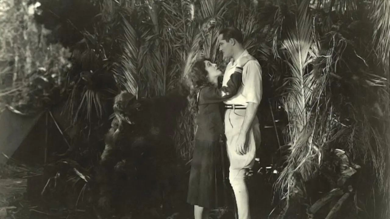 Lorraine of the Lions backdrop