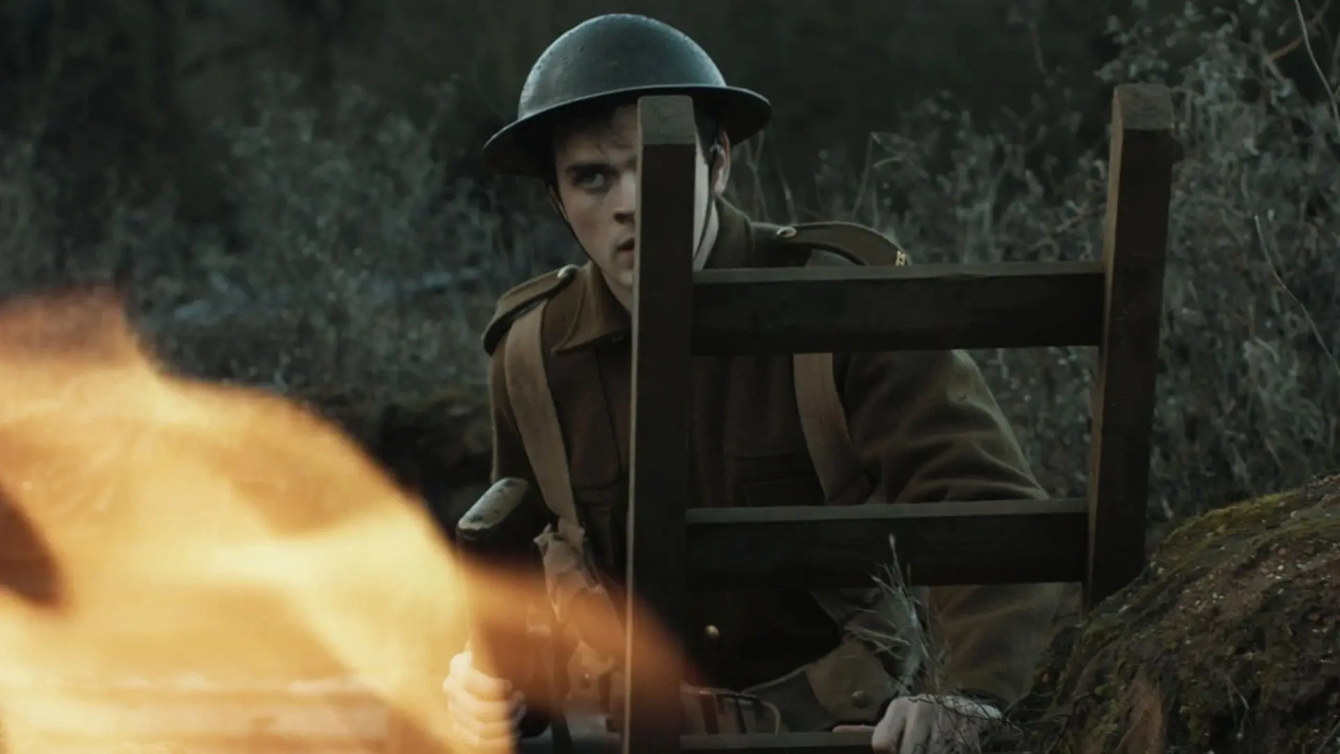 Divided We Stand backdrop