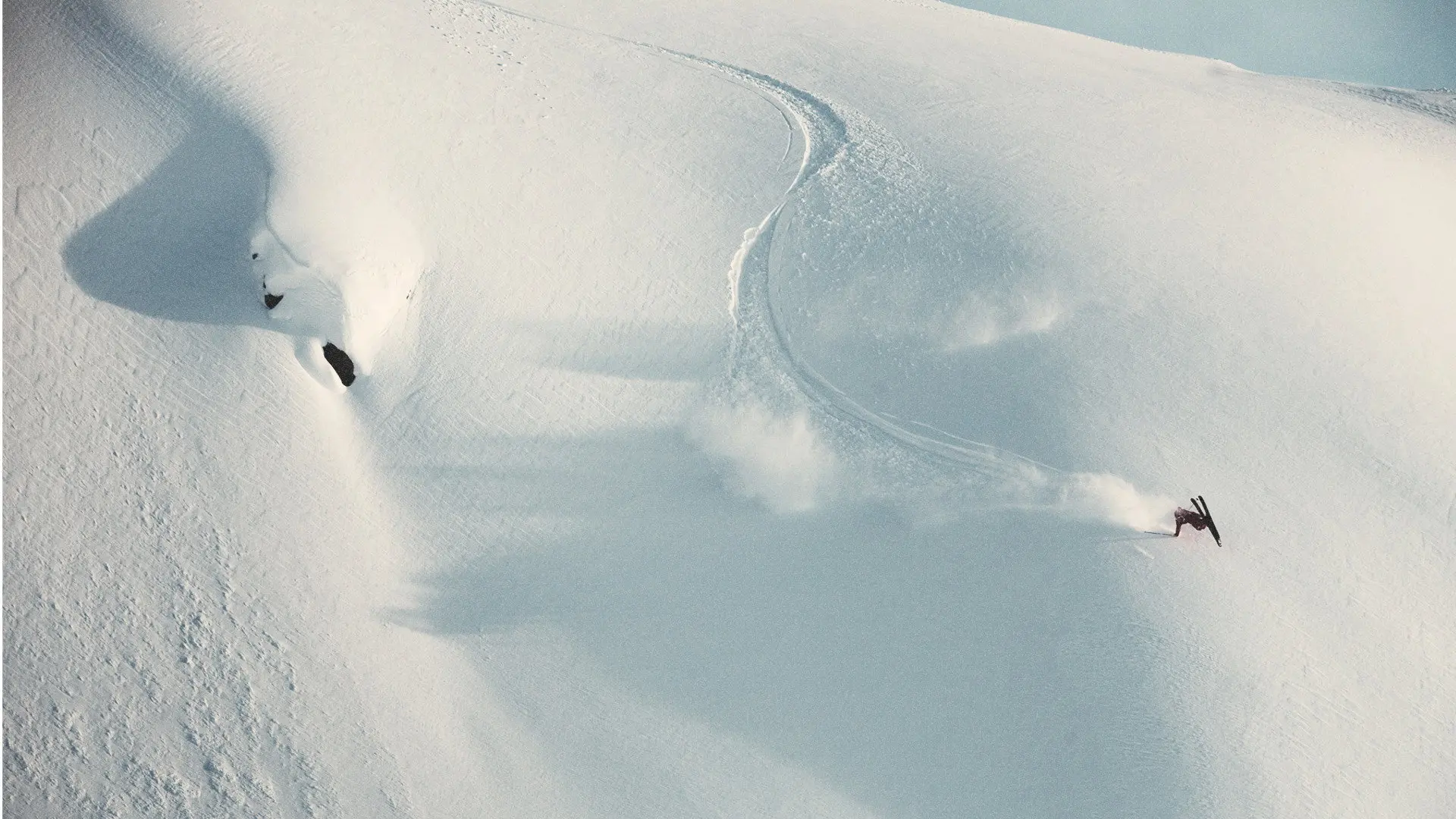 That's Fine backdrop