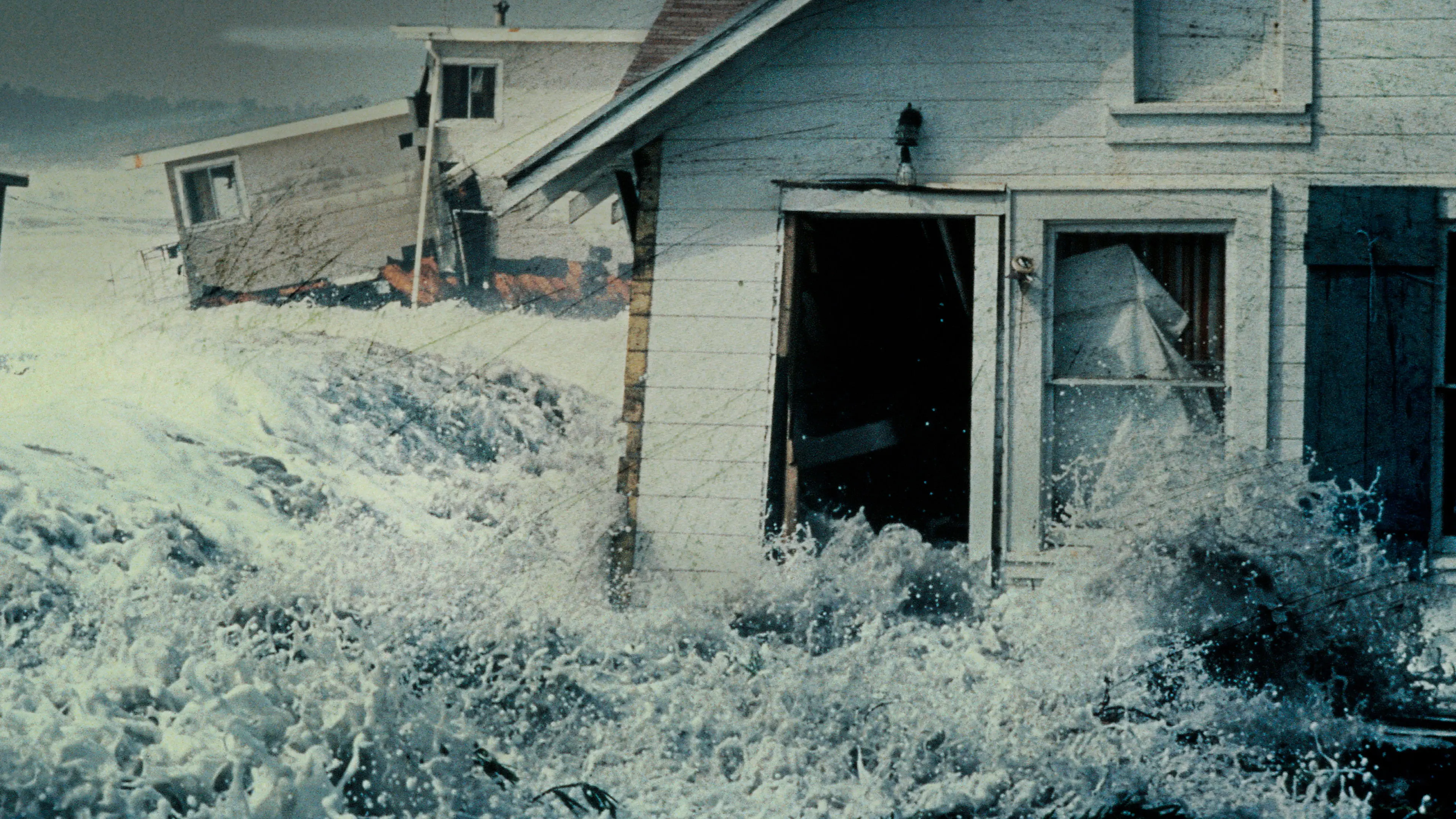 Chaos Caught on Camera backdrop