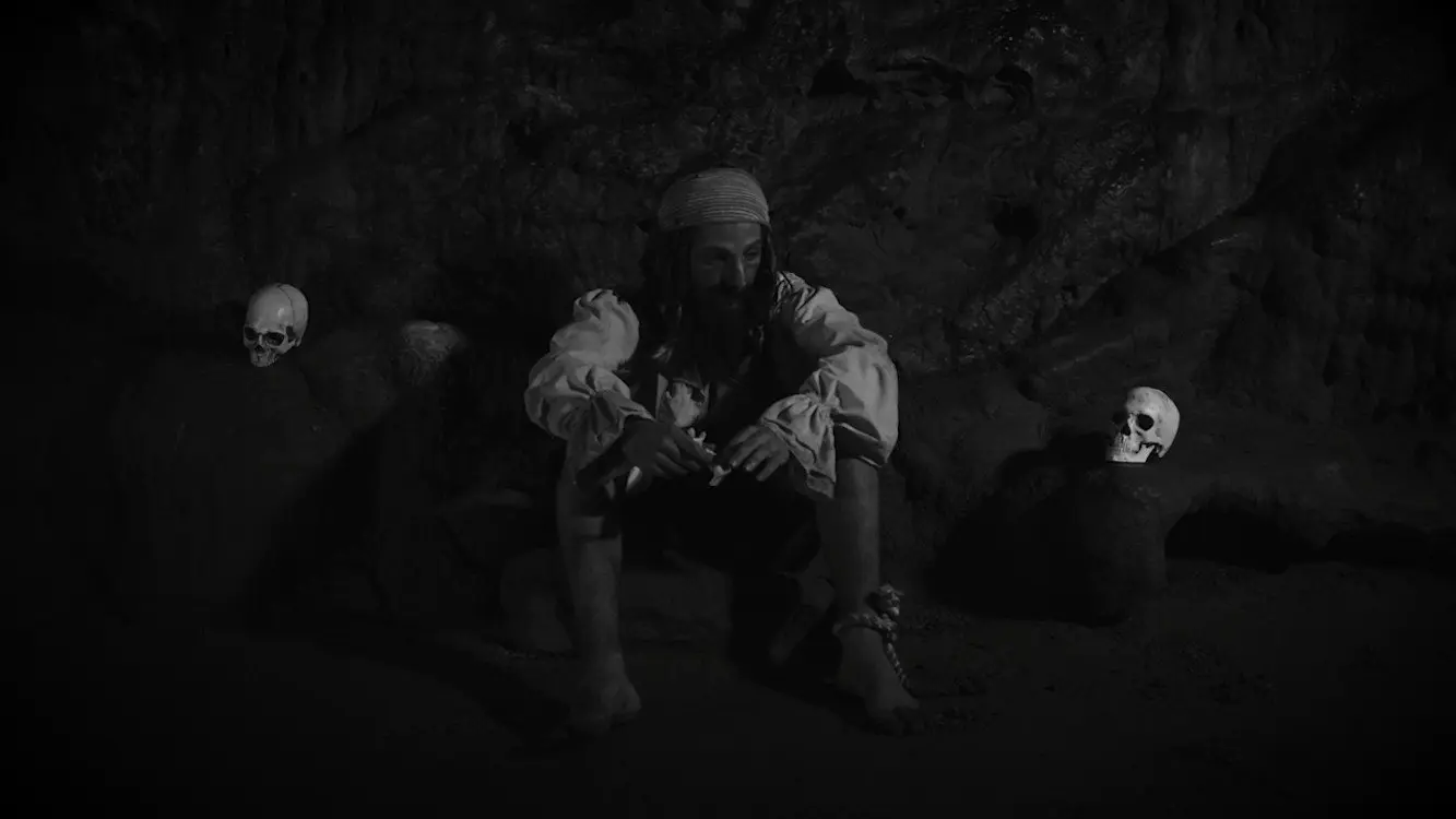 Sea, Salt & Rum backdrop