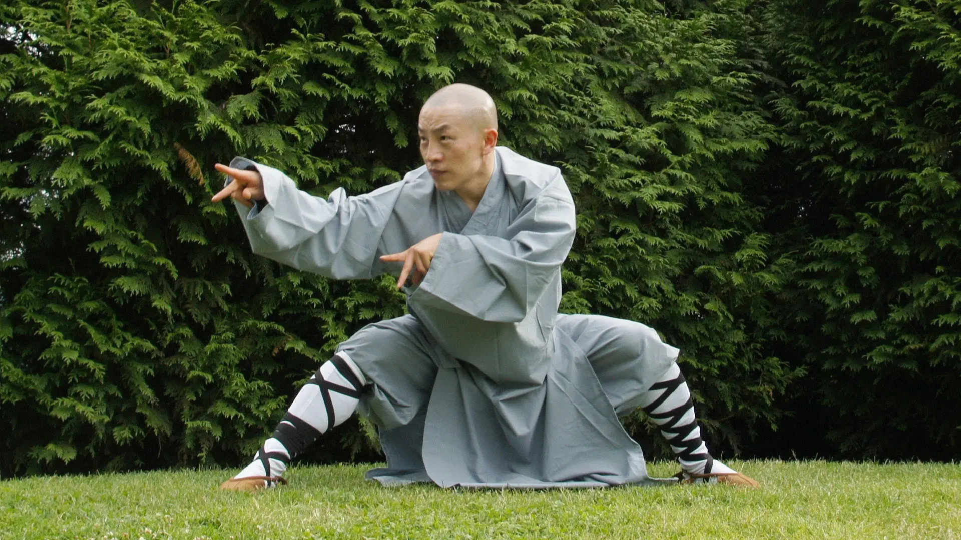 Kung Fu Quest backdrop