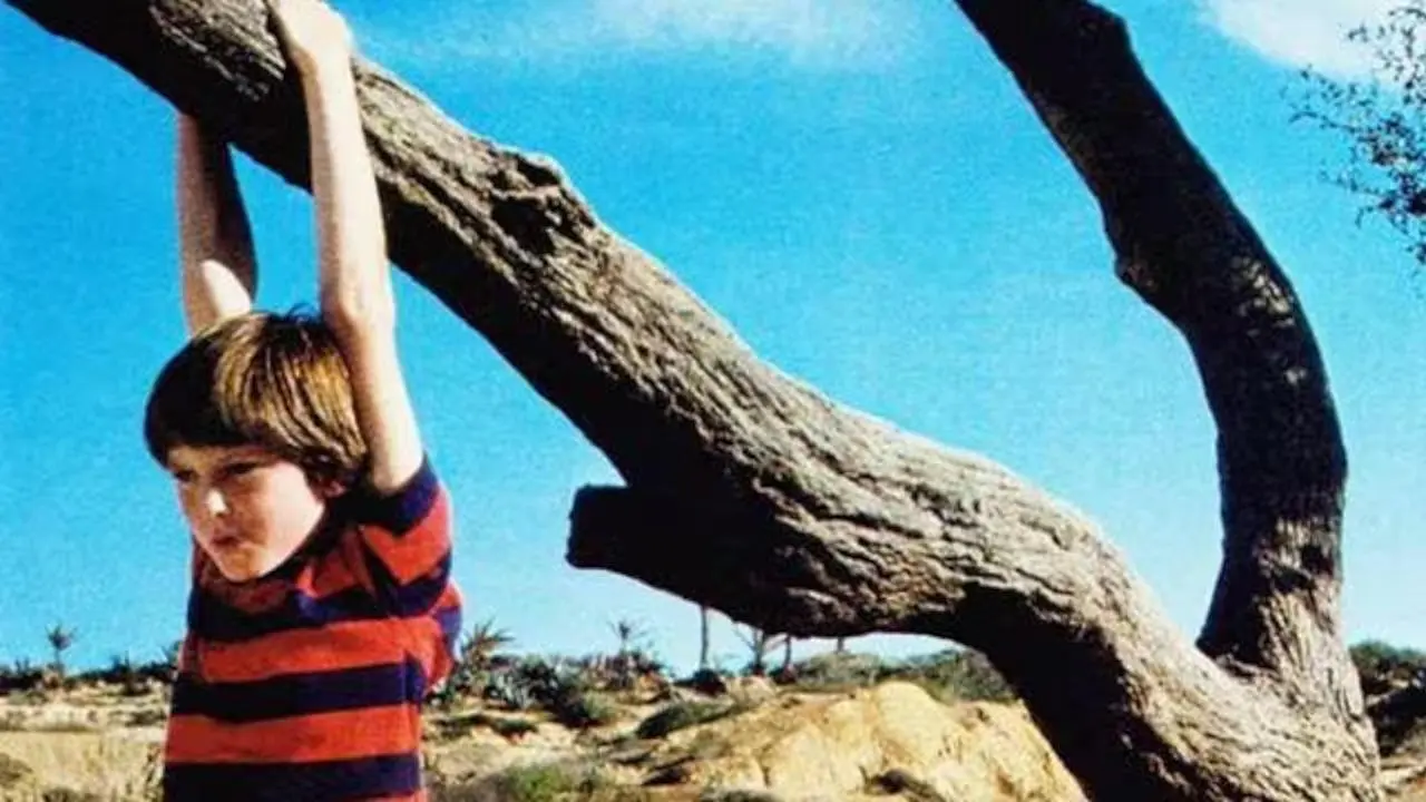 Misunderstood backdrop