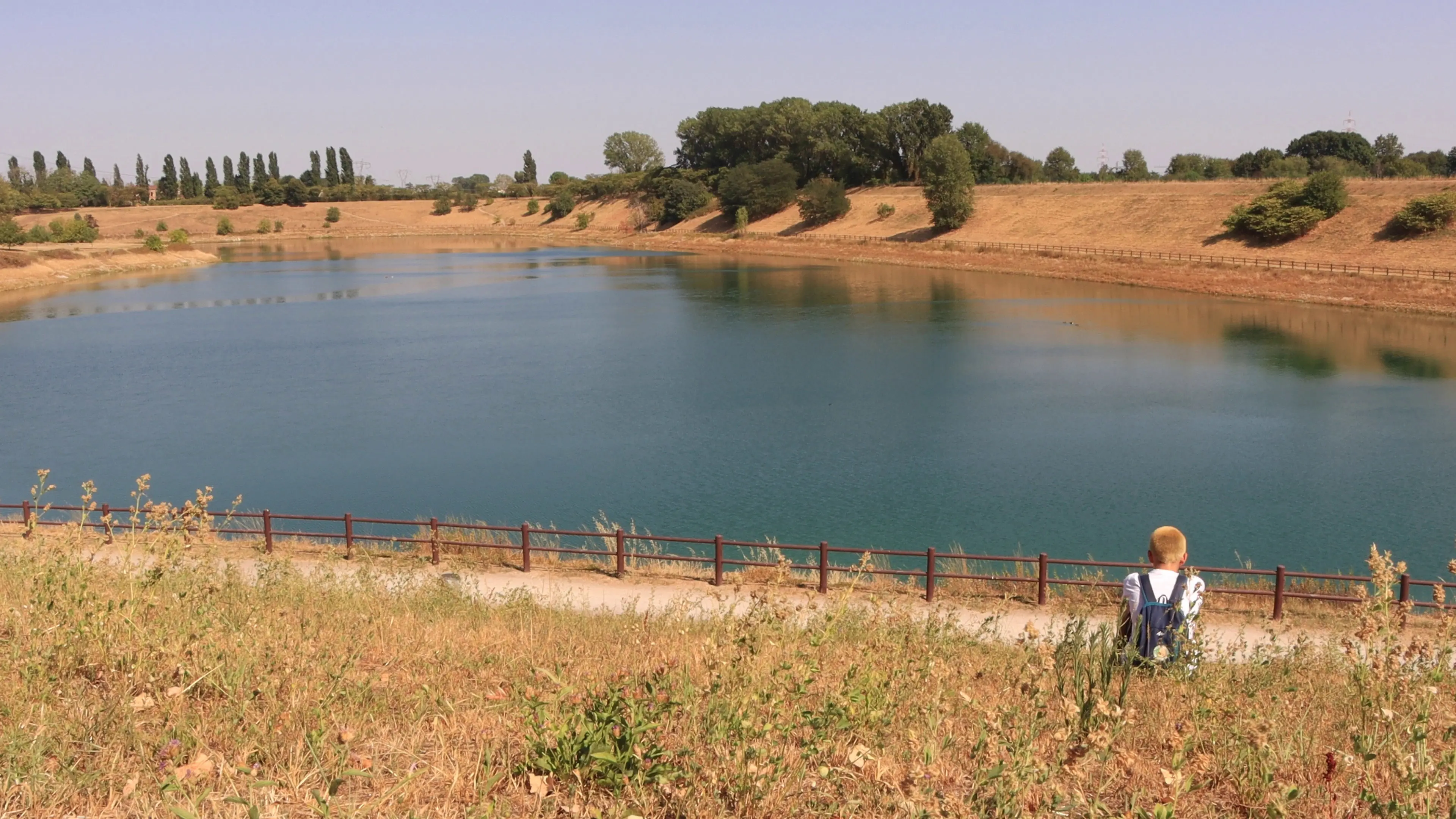 Il colore rosa backdrop