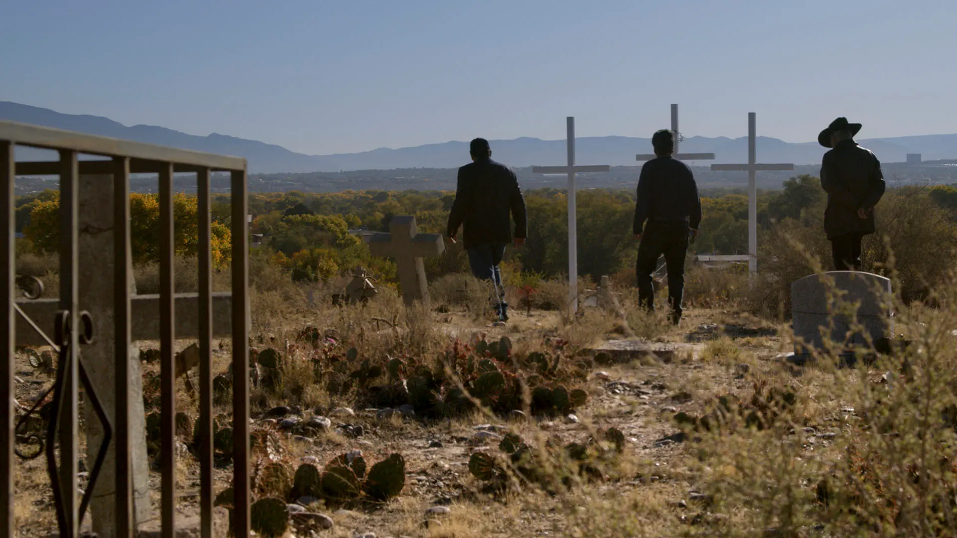 The Last Narc backdrop