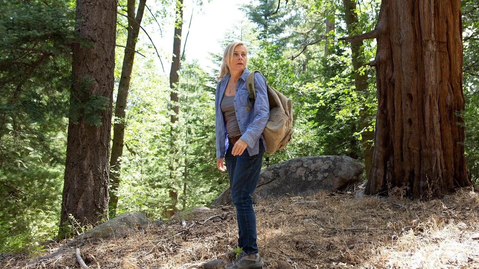 In the Forest backdrop