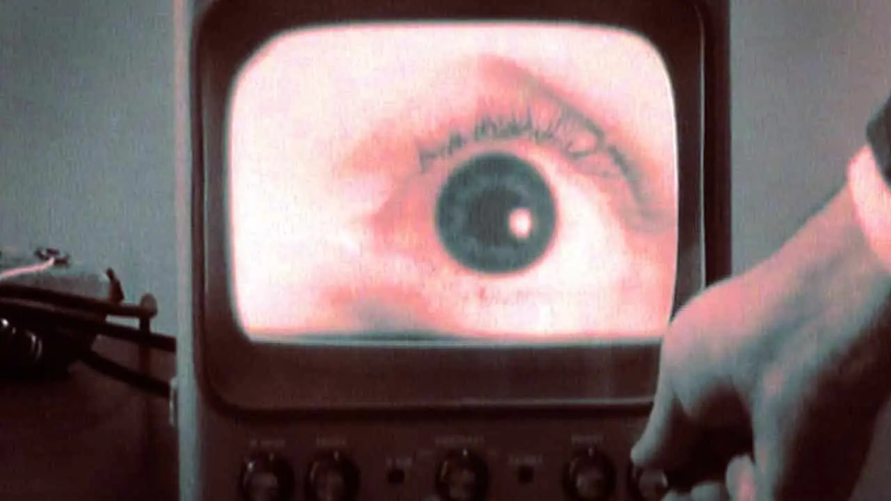 All Watched Over by Machines of Loving Grace backdrop