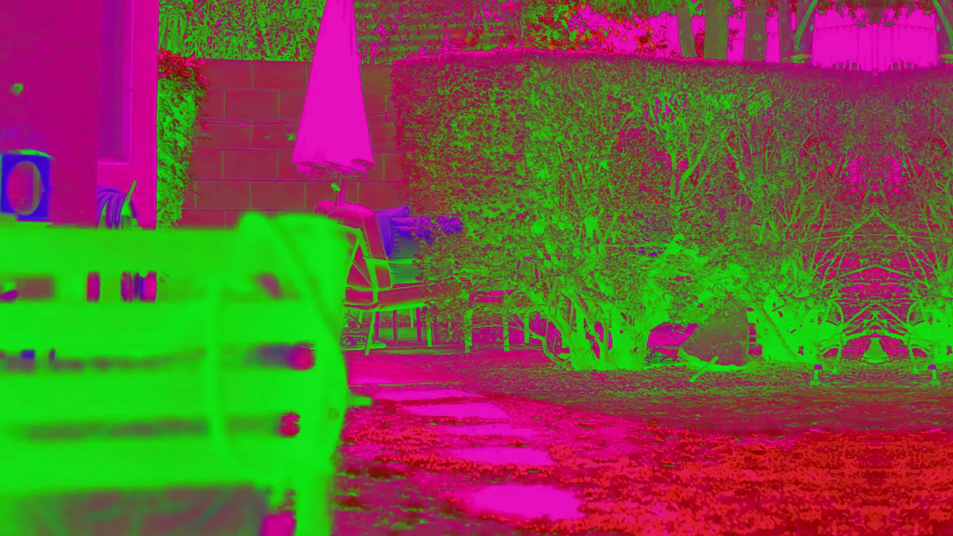 This Must Be My Face backdrop