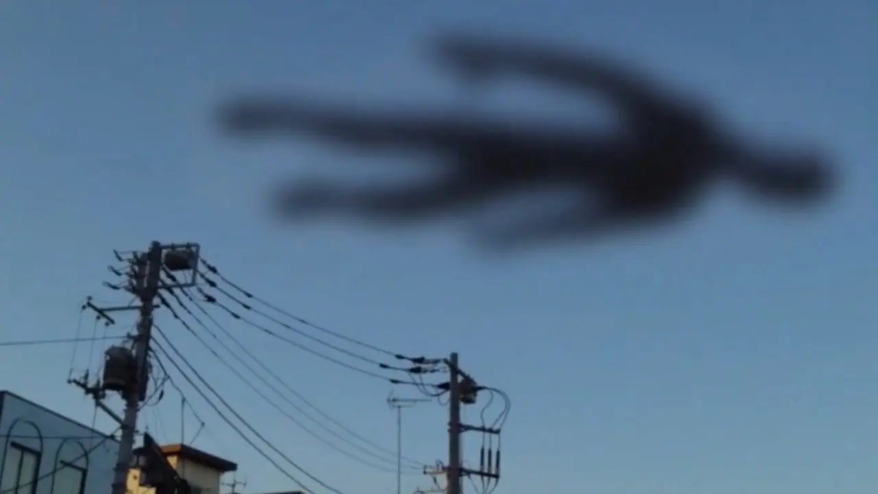 Simokita 2014 backdrop