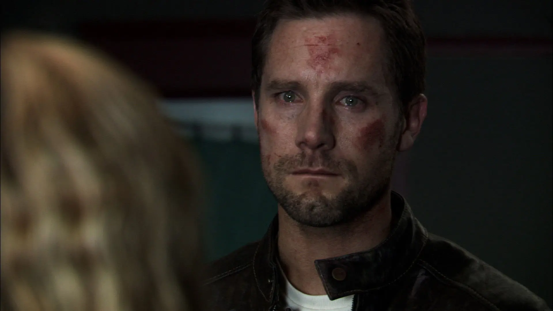 30 Days of Night: Dust to Dust backdrop