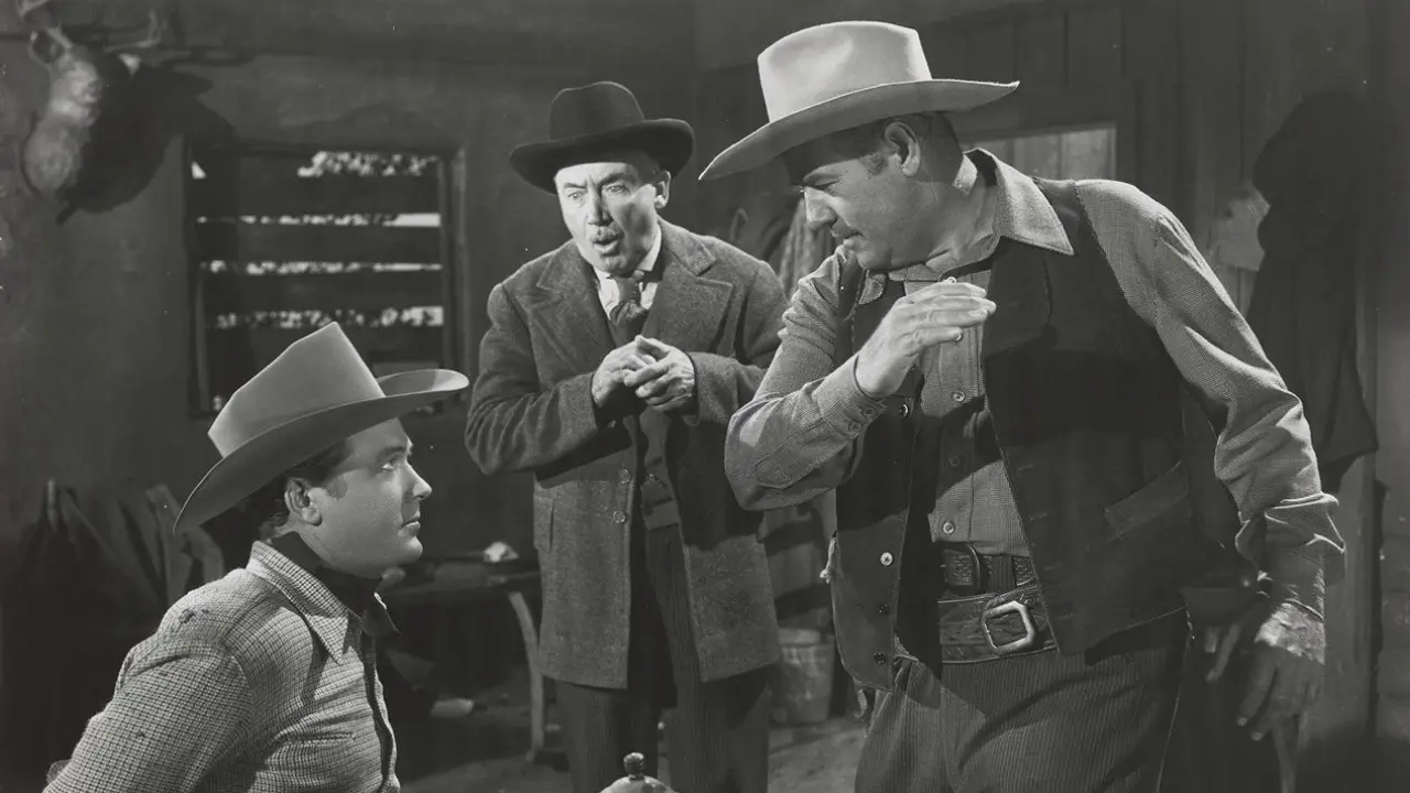 The Timber Trail backdrop