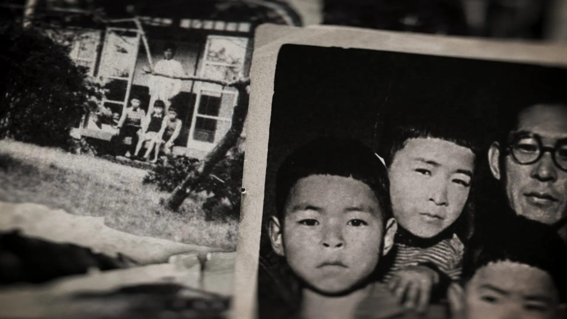 Miyazaki, Spirit of Nature backdrop