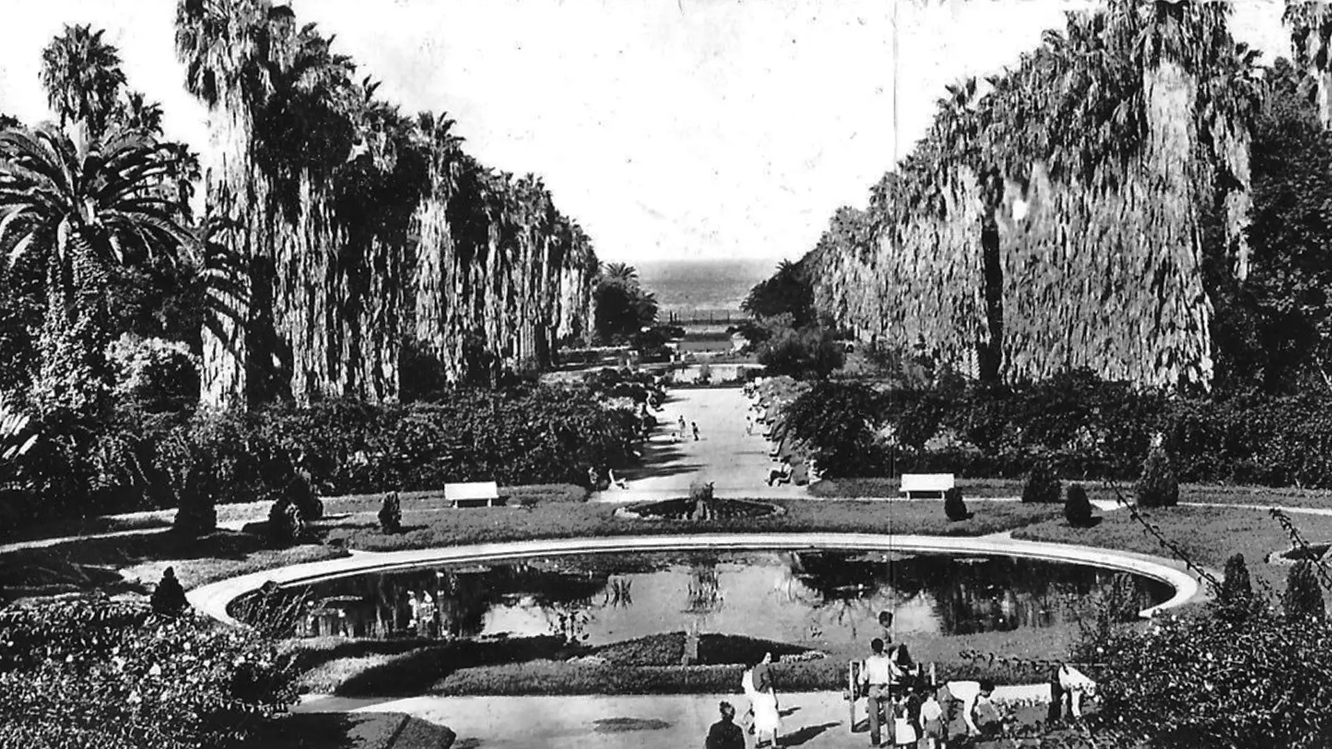 Alger Et Ses Environs backdrop