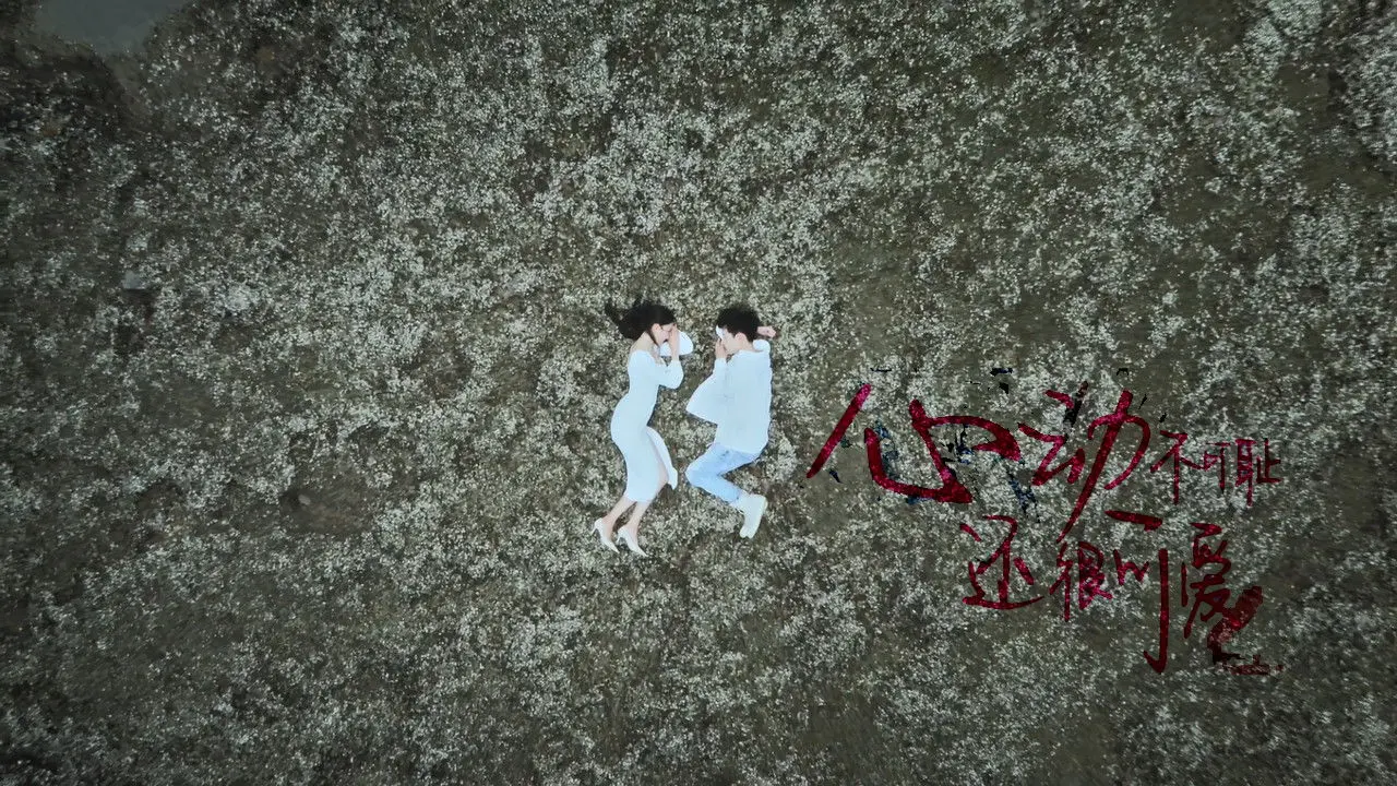 Don't Be Shy backdrop