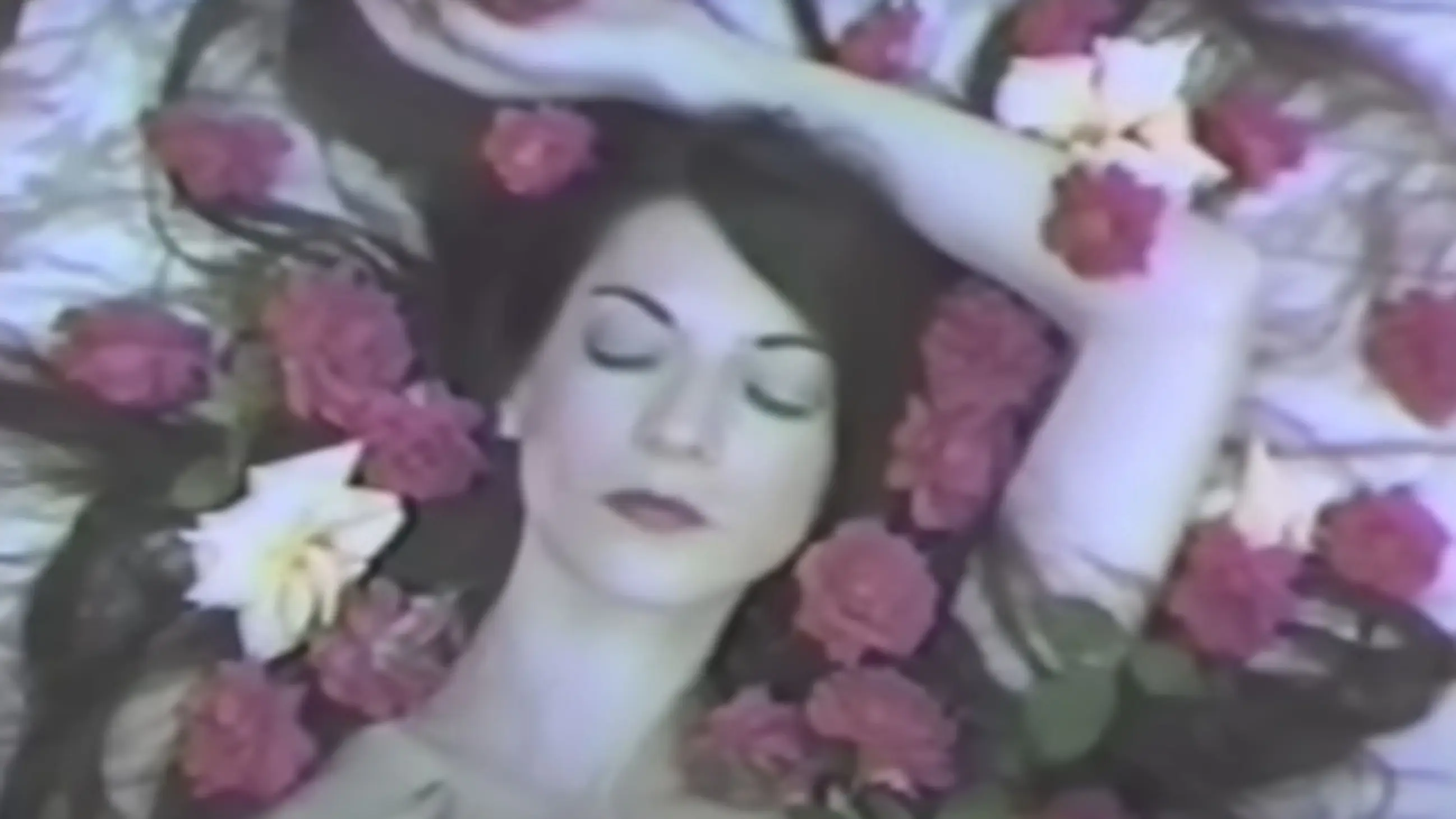 Possibly in Michigan backdrop