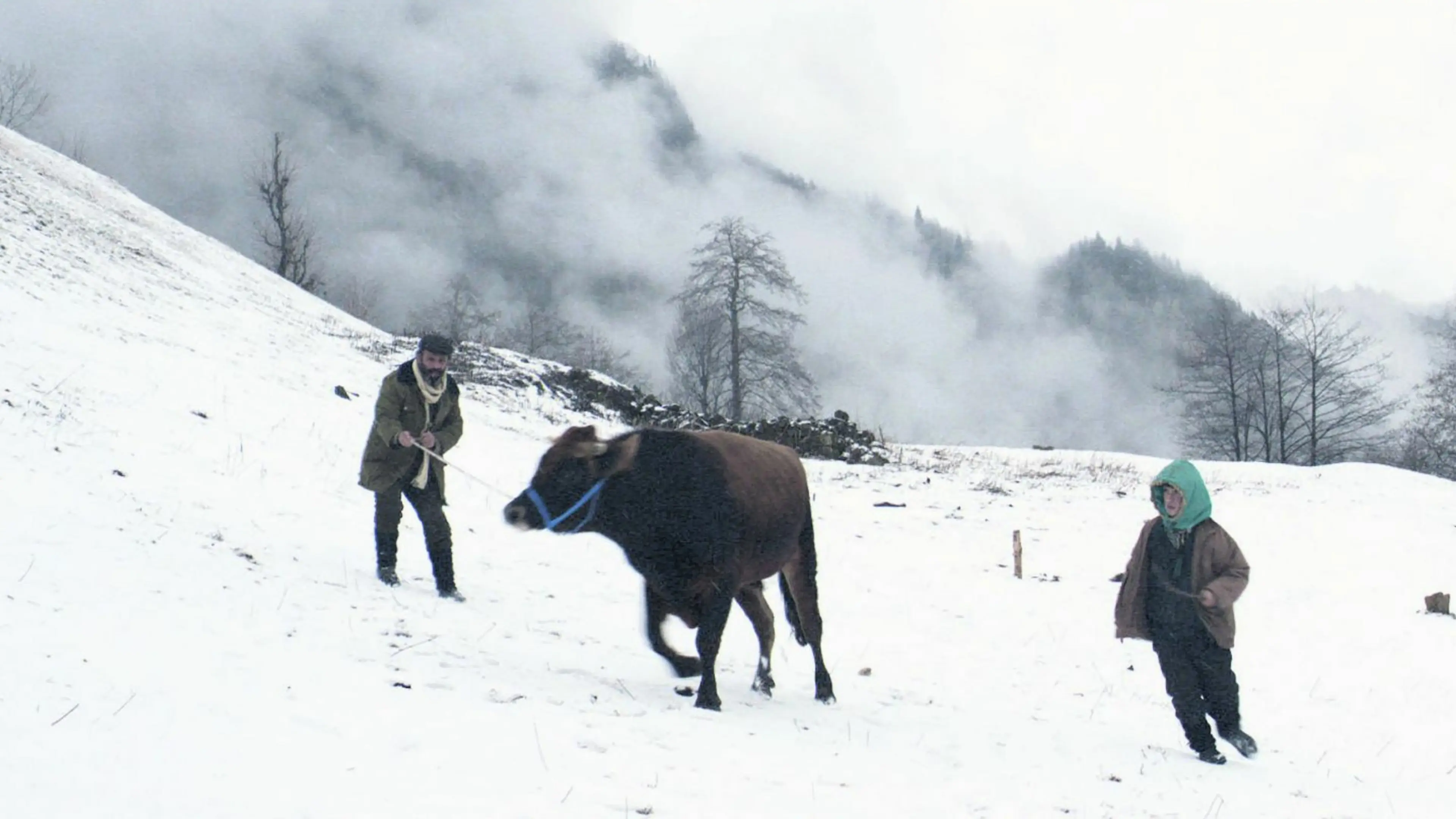 Cold of Kalandar backdrop