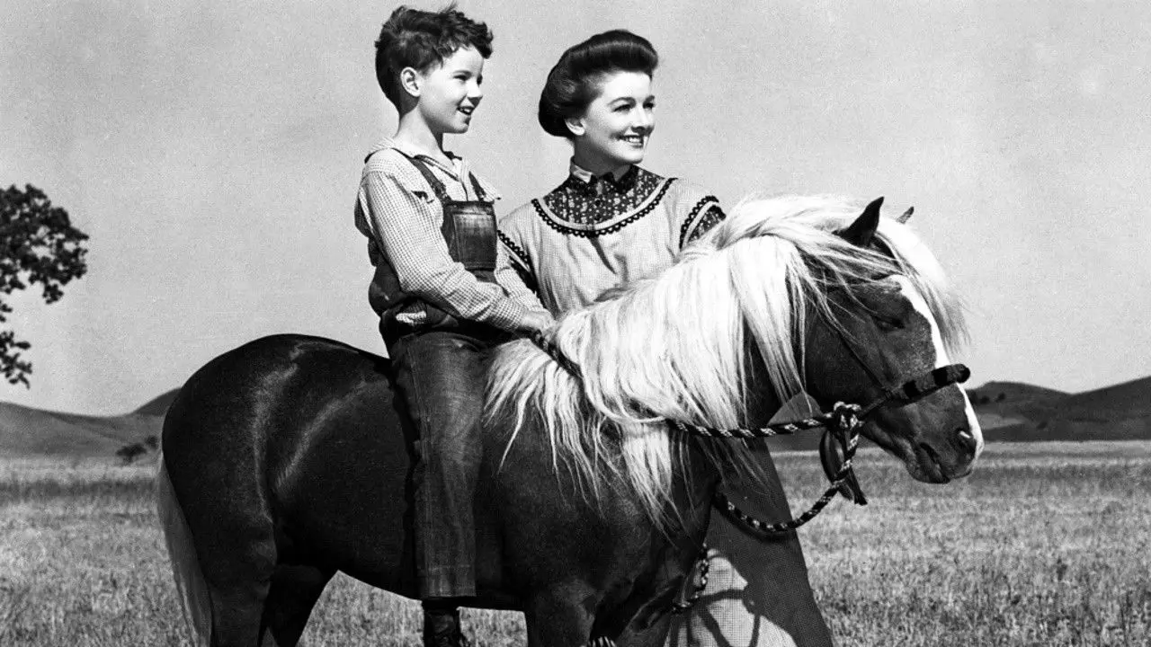 The Red Pony backdrop