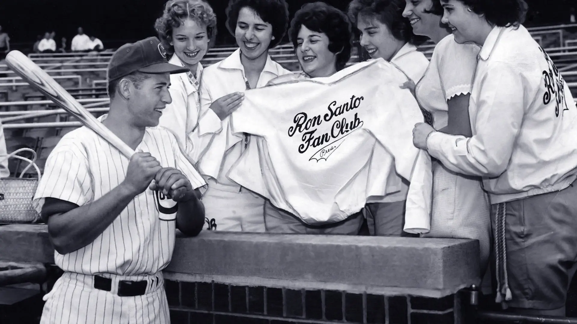 This Old Cub backdrop