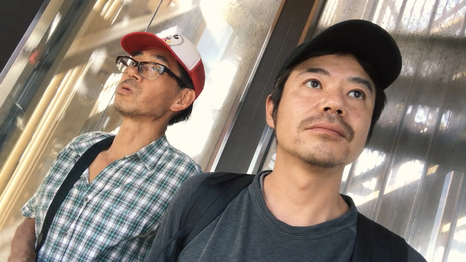 What Can You Do About It? backdrop