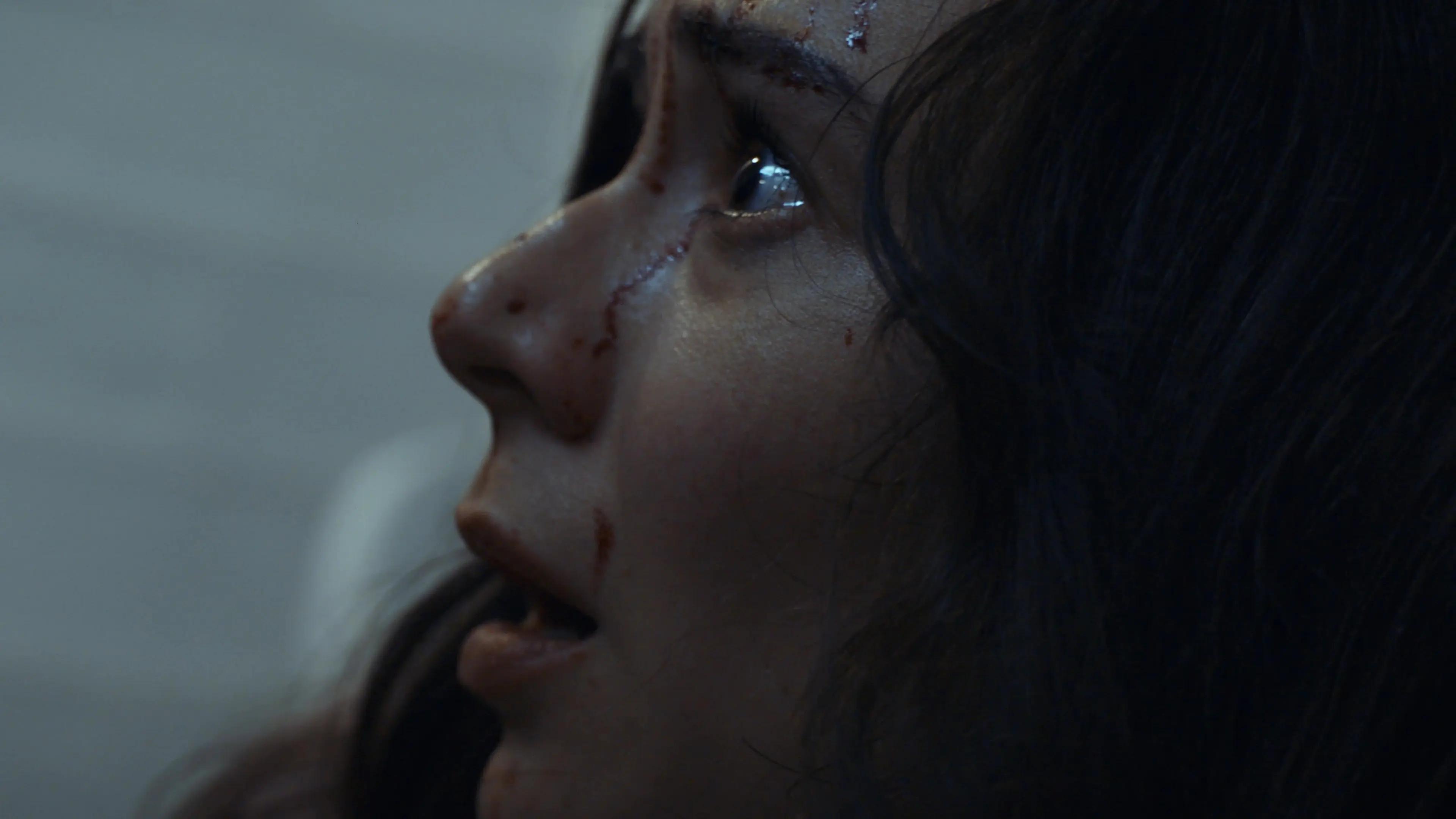 The Silhouette backdrop