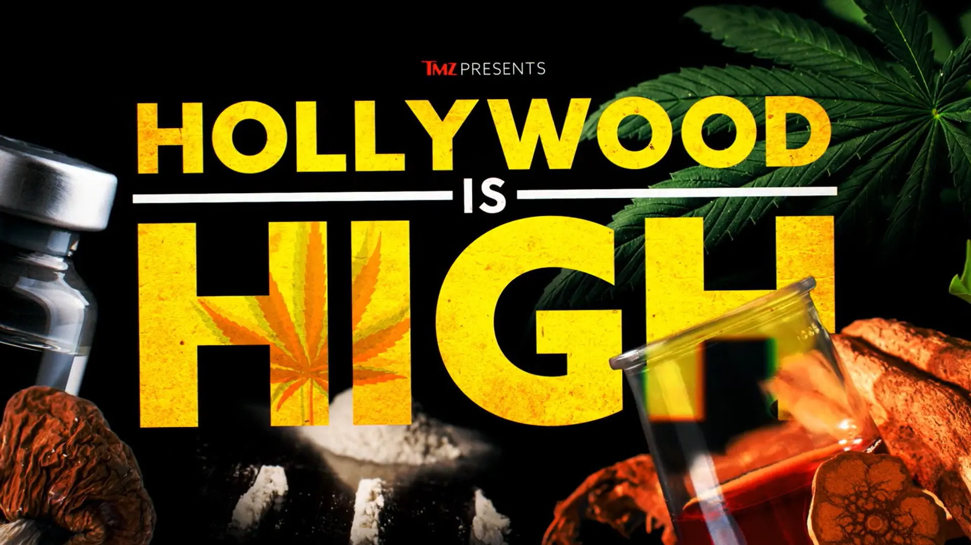 TMZ Presents: Hollywood is High backdrop