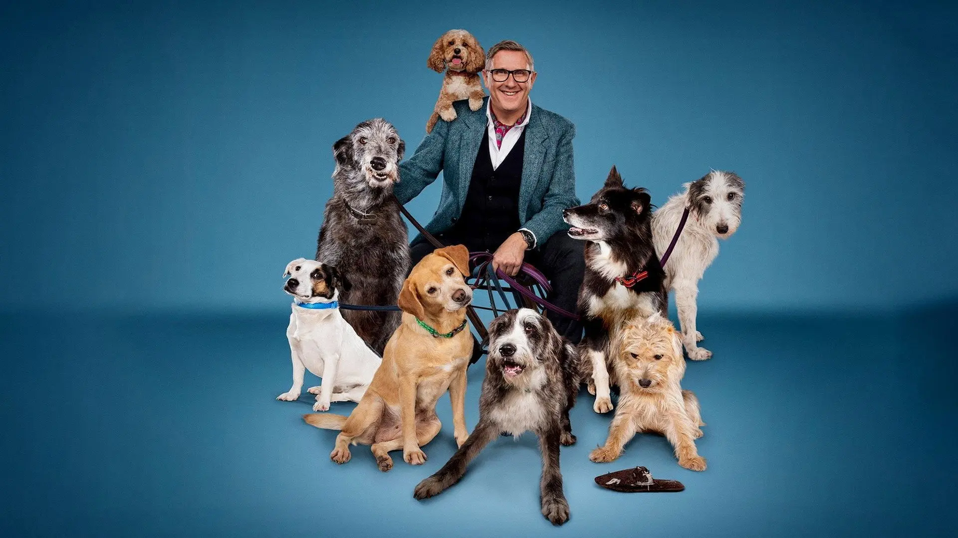 Dogs Behaving (Very) Badly backdrop